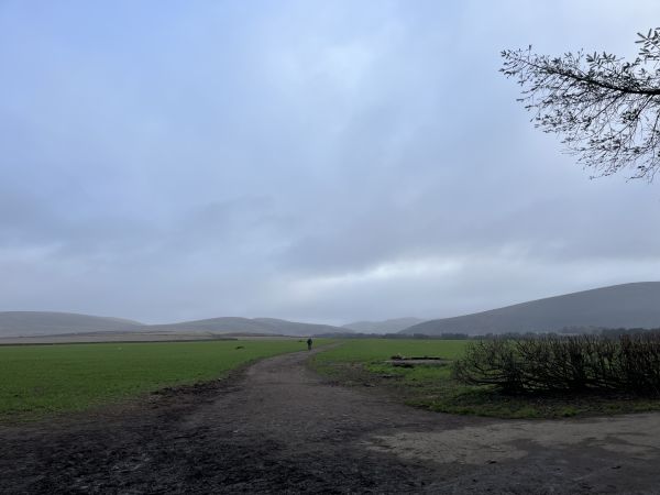 A view of Black Hill